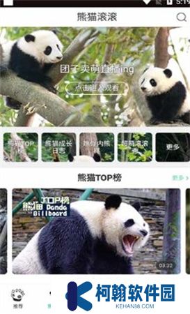 熊貓頻道app下載