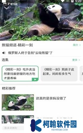 熊貓頻道app下載