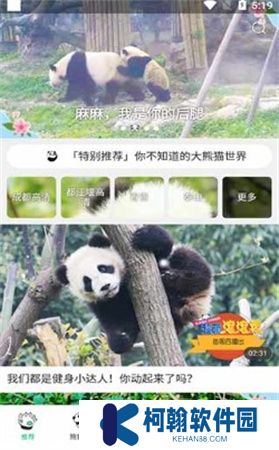 熊貓頻道app下載