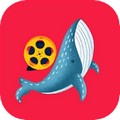 鯨魚視頻app