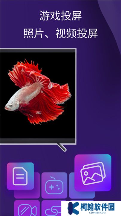 雨燕投屏app