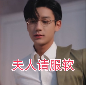 夫人請服軟短劇完整版下載(多多追劇)