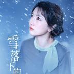 雪落下的聲音電視劇免費觀看完整版app下載(多多追劇)